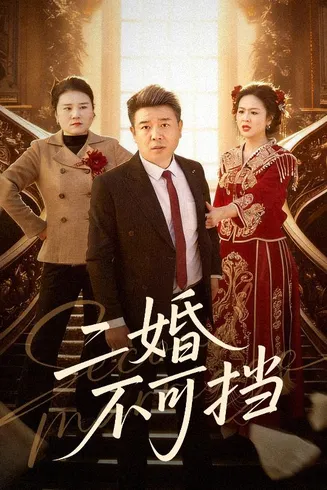 二婚不可挡在线观看