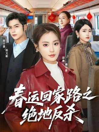 春运回家路之绝地反杀在线观看