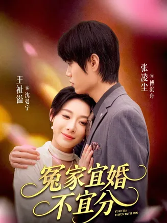 冤家宜婚不宜分在线观看