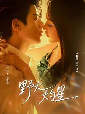 野火灼星在线观看