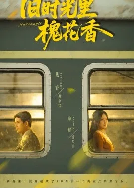 旧时光里槐花香在线观看