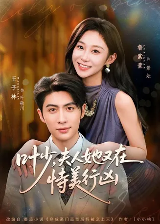 叶少，夫人她又在恃美行凶在线观看