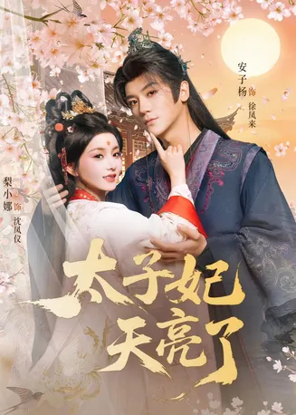 太子妃天亮了在线观看