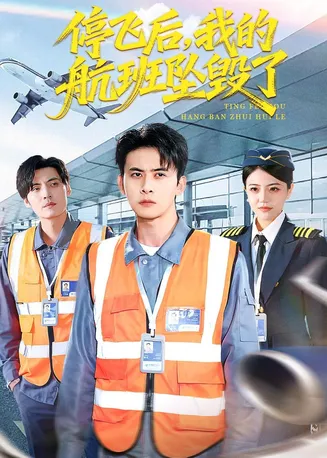停飞后，我的航班坠毁了在线观看