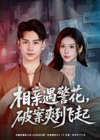相亲遇警花，破案爽到飞起在线观看