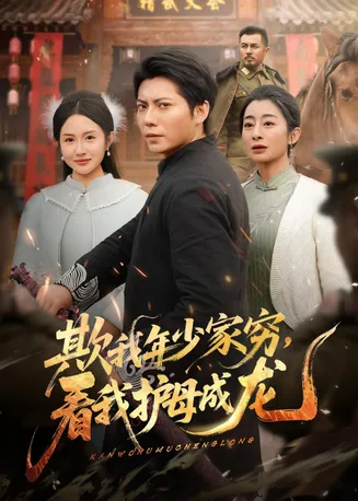 欺我年少家穷，看我护母成龙在线观看