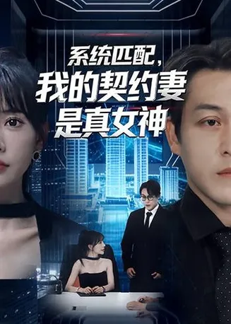 系统匹配，我的契约妻是真女神在线观看
