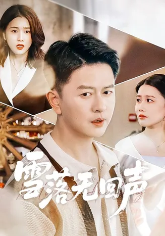 雪落无回声在线观看