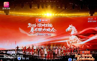 2026深圳卫视春节晚会在线观看