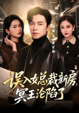 误入女总裁新房，冥王沦陷了在线观看