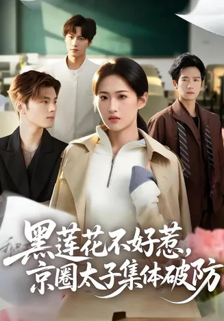 黑莲花不好惹，京圈太子集体破防在线观看