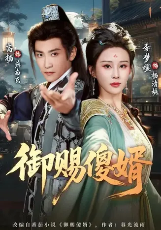 御赐傻婿在线观看