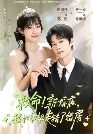 救命！新婚夜，我和姐姐走错了婚房在线观看