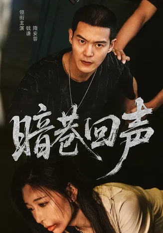 暗巷回声在线观看