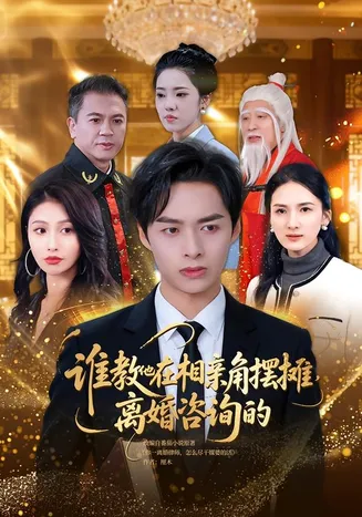 谁教他在相亲角摆摊离婚咨询的在线观看