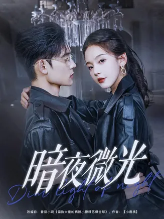 暗夜微光在线观看