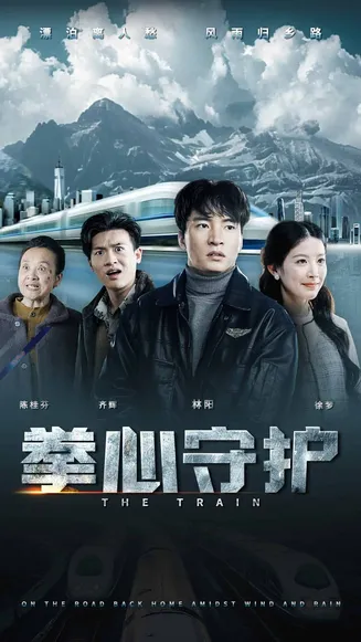 拳心守护在线观看