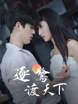 逐鹭渡天下在线观看