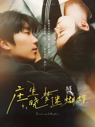 庄生晓梦迷蝴蝶在线观看