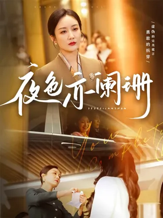 夜色亦阑珊在线观看