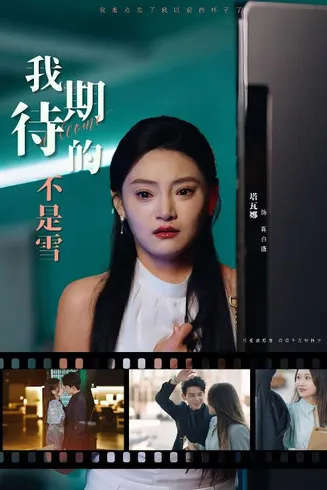 我期待的不是雪在线观看