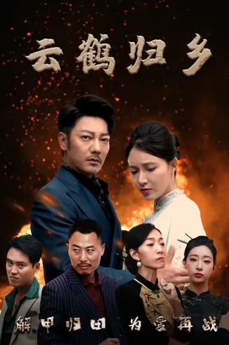 云鹤归乡在线观看