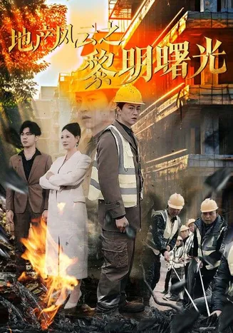 地产风云之黎明曙光在线观看