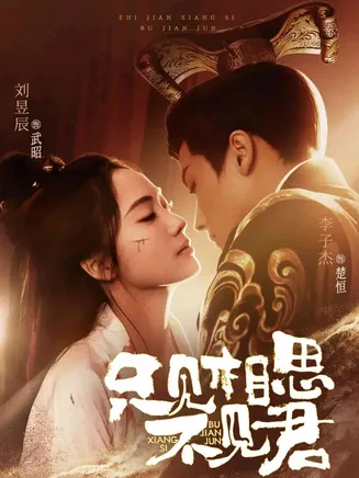 只见相思不见君在线观看