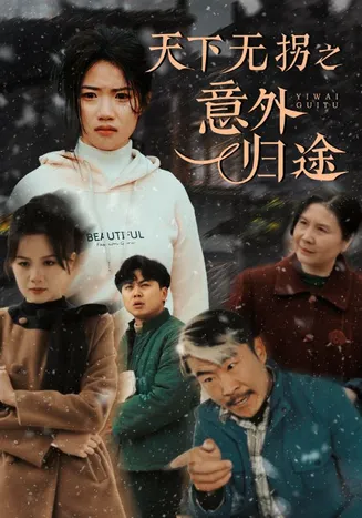天下无拐之意外归途在线观看
