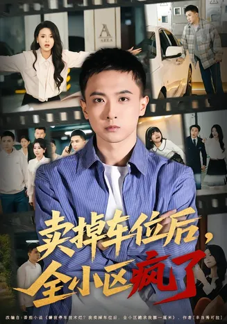 卖掉车位后，全小区疯了在线观看