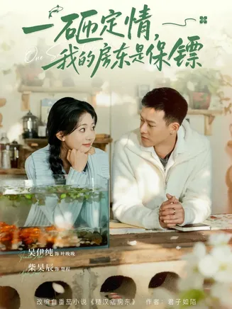 一砸定情，我的房东是保镖在线观看
