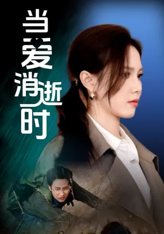当爱消逝时在线观看