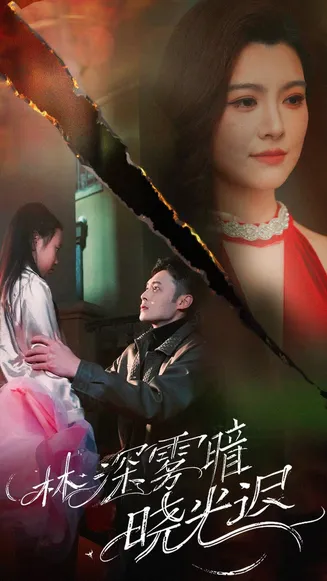 林深雾暗晓光迟在线观看