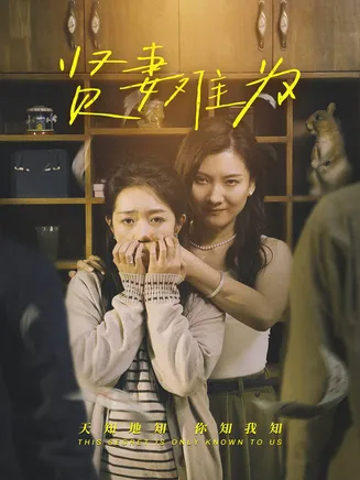 贤妻难为在线观看