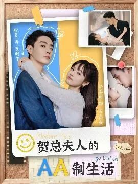 贺总夫人的AA制生活在线观看