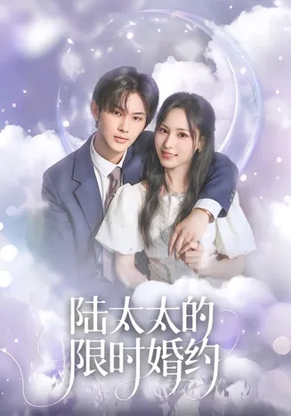 陆太太的限时婚约在线观看