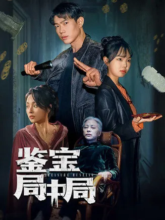 鉴宝局中局在线观看