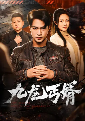 九龙丐婿在线观看