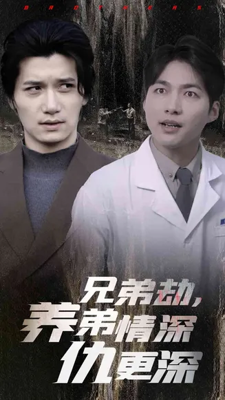 兄弟劫养弟情深仇更深在线观看