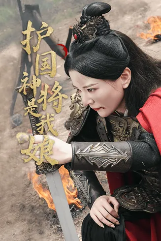 护国神将是我娘在线观看