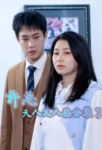 许总,夫人又人格分裂了在线观看
