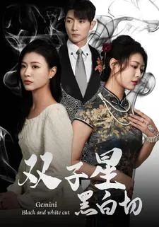 双子星黑白切在线观看