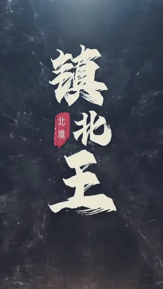 王行天下在线观看