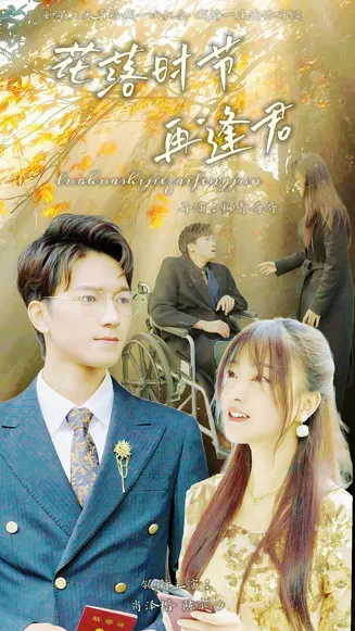 落花时节再逢君在线观看