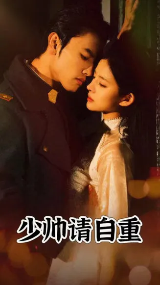 少帅请自重在线观看