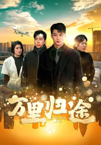 万里归途 短剧版在线观看