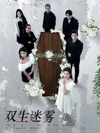 双生迷雾在线观看