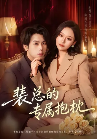 裴总的专属抱枕在线观看