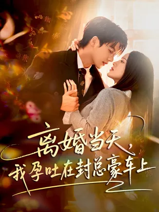 离婚当天,我孕吐在封总豪车上在线观看