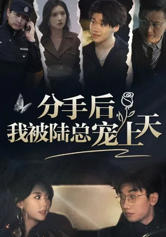 分手后，我被陆总宠上天在线观看